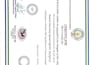 do accurate telugu and english work and data entry